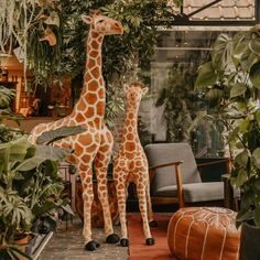 Décoration chambre enfant