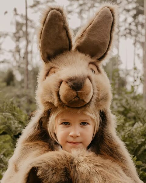 Disguise
