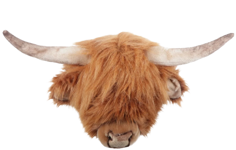 WILD & SOFT Wanddekoration Nicolas das Hochlandrind