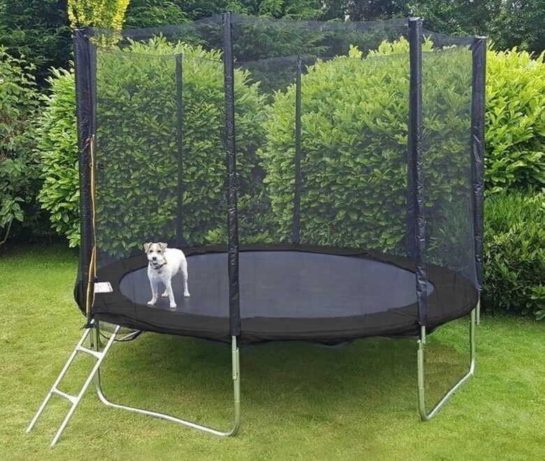 SPRINGPLAY Trampolin mit Sicherheitsnetz und Leiter – Schwarz, Ø305 cm