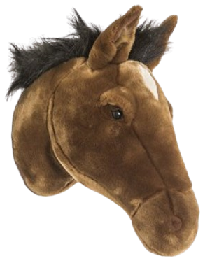 WILD & SOFT  Scarlett the Horse