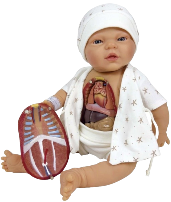 NINES D’ONIL Ona Baby Anatomiepuppe mit Organen