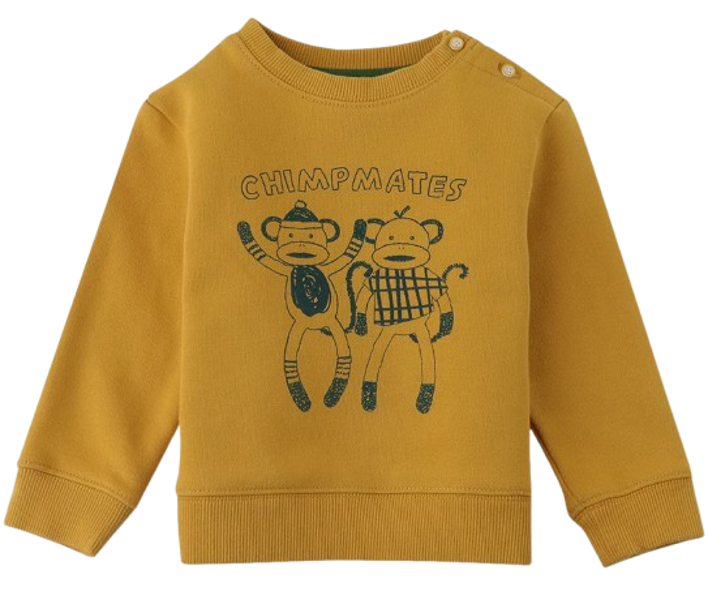 GINGERSNAPS Baby Boys "ChimpMates" Print Jersey Fleece Pullover